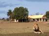 Gorah Elephant Camp - Exterior